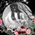 Stacey Kokoska's profile image
