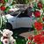 Hani Safe's profile image