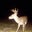 Chase Waites's profile image