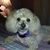 Donnita McDaniel's profile image