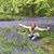 Lucy Jeffrey's profile image