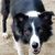 Cherie River Maitland's profile image