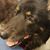 Mike Eatherton's profile image