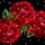 Alcione Gualberto's profile image