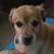 Mandy Lynn's profile image