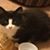 Jan L. Boyden's profile image