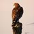 Paul Clagett's profile image