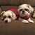Joann Henry's profile image