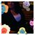 Marie Viglietti's profile image