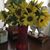 Denese Hickson Wilson's profile image