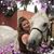 Jackie Verna's profile image