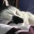 Alesha Marie's profile image