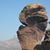 Micah Nolin's profile image