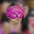 Lyka Becina's profile image