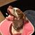 Wendy Miller's profile image