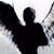 Fatima S. Swaggi's profile image