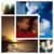 Rosita Flecha's profile image