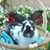 Rich Sievers's profile image