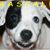 Rascal Rakoczy's profile image
