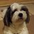 Joe Bondi's profile image