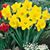 Sylvia Prasad's profile image