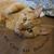 Brenda Wilson Giles's profile image