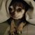 Cheryl Stanton's profile image