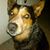 David Michael Mitchell's profile image