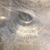 Gregory Short's profile image