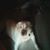 Mukil Raj's profile image