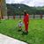 Alba Ajdinaj's profile image