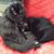 Trudy Parker Hawkes's profile image