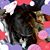 Tab Turner's profile image