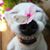 Angie Ligon's profile image