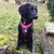 Linda Davy's profile image