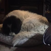 Jana Smith Dunfee's profile image