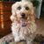Helen Carter's profile image