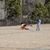 Holly Alcamo's profile image