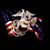 Steve Belknap's profile image