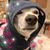 Karen Sigl's profile image