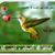 Mamoun Hmaidi's profile image