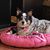Cheryl Becker Harrington's profile image