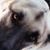 Thomas Parker Achilles's profile image
