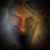 Robert Olivas's profile image