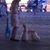 Barras Delpine Lisa's profile image