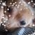 Patricia M Snyder's profile image