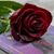 Bertha Hernandez's profile image
