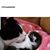 Amy Dickey's profile image