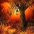 Anita Neu Conley's profile image