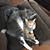 Raelyn Corwin's profile image